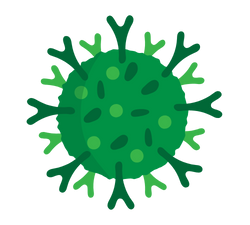 rotavirus