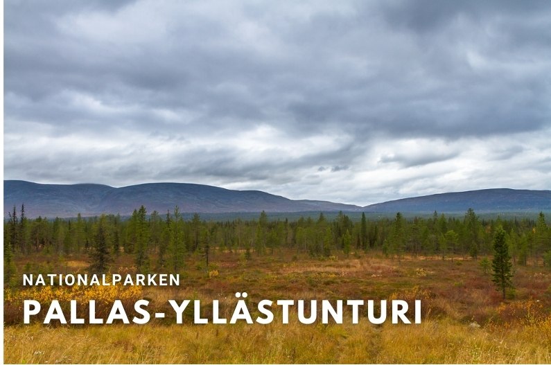 panoramabild över nationalparken Pallas-Yllästunturi, norra Finland