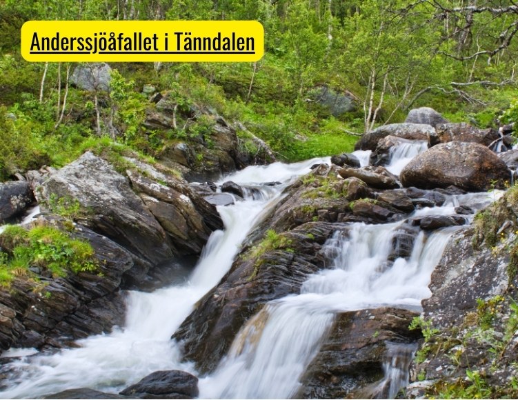 Anderssjöåfallet i Tänndalen, populärt besöksmål, här ses vattnet forsa i strid ström och vackra fjällbörkar omsluter fallet