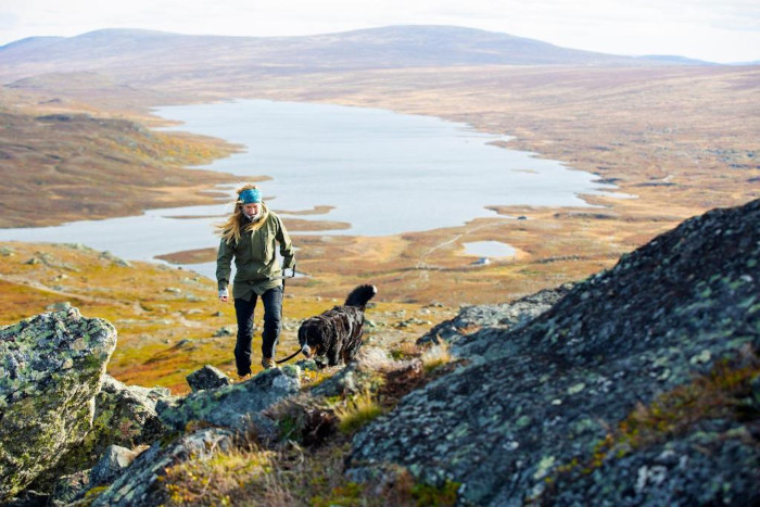 Fjällbild över Tänndalen, Härjedalen, en vandrare på väg uppåt med sin hund och man ser vida fjällvidden med fjällsjö nedanför