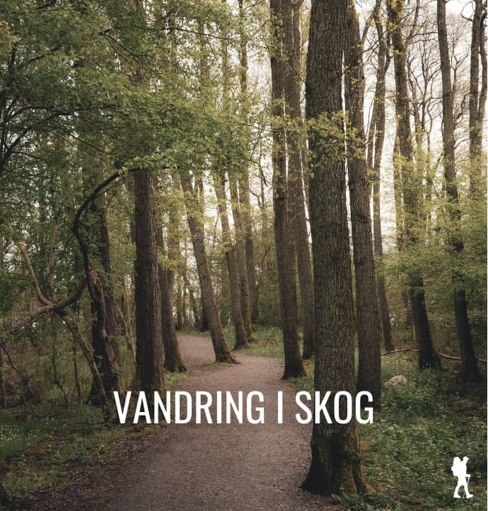 vandringsled genom skog i södra sverige